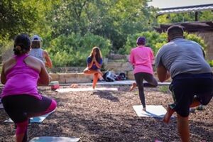 Fitness in the Park San Antonio. People doing yoga.
