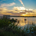Mitchell Lake Audubon, San Antonio