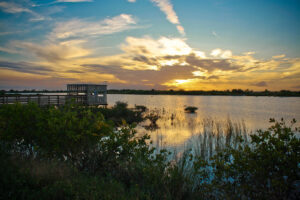 Observation deck overlooking wetlands at the Mitchell Lake Audubon Center, San Antonio.