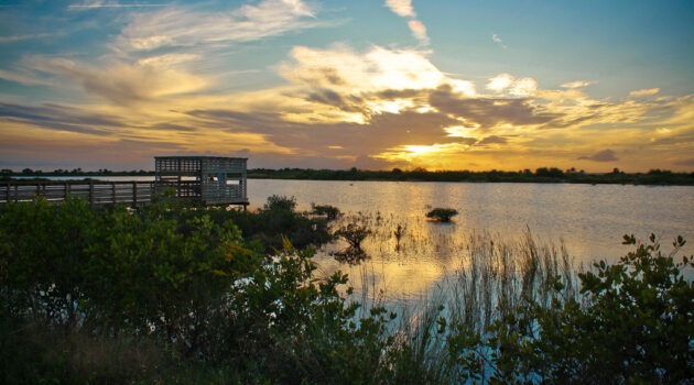 Mitchell Lake Audubon, San Antonio