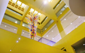 Inside of Central library in San Antonio.